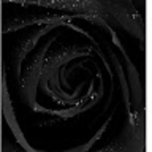 Meet your Posher, Gurpreet